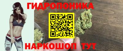 ешки Владивосток
